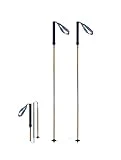 Bastones Trekking Extensibles, AONIJIE Bastones Trail, Ligeros y Plegables, Bastón de Senderismo Aluminio de 110/120 cm de Longitud para Exteriores (Glod, 120)