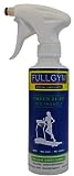 FULLGYM Green 21-50 lubricante ecológico especial para cinta de correr en botella de 250 ml