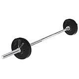 wuuhoo Juego de Barra y Platos de Pesas Marcel, 26kg-60kg, Barra de 30mm, Barra de Acero Cromado, 200cm/180 cm/160 cm/150 cm/120 cm (d) 20kg - 2x10kg | 180cm