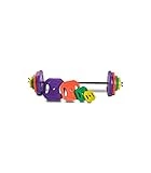 Riscko Set de pesas Barra Pump con Barra y Discos de Colores para Entrenar en Casa, Pesas y Mancuernas Profesionales para Gimnasio con Discos (20 kilos)