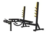 Grupo Contact - Banco Press Pecho Regulable, Press Banca Inclinado y Declinado, Maquina Gimnasio y Fitness para Pecho. Mod. TS202 Uso Profesional y Domestico