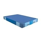 AMAYA SPORT Funda Repuesto para quitamiedos - 300 x 200 x 40 cm, Doble Cosido, Fácil de Limpiar con Cremallera y Asas para Transporte, Funda para Colchoneta Plegable de Gimnasia para Fitness