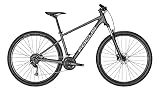 Derby Cycle Focus Whistler 3.6 Mountain Bike 2022 (29 inch XL/50 cm, gris placa)