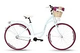 Goetze Bicicleta Holanda vintage retro para mujer, 28 pulgadas, ruedas de aluminio, 1 velocidad, velocidad única, baja, freno de contrapedal, cesta con funda