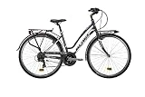 Atala Bicicleta City-Bike DISCOVERY S 21 V LTD D49 gris/blanco