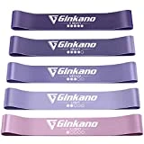 Haquno Bandas Elásticas Fitness/Bandas de Resistencia, Set de 5 Cintas Elásticas Fitness y Musculación de Látex Natural Agradable a la Piel con Guía de Ejercicios de Español y Bolsa Almacenamiento…
