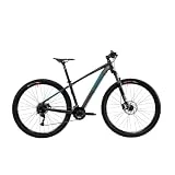 Lombardo Mountain Bike 29' Sestriere 350 D TitaniumTiff (39 (S))