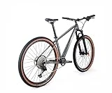 ICe Bicicleta de montaña MT10 Cuadro de Fibra de Carbono, Rueda 29', monoplato, 12V (Gris, 19')