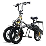 AKEZ Bicicleta Eléctrica, 14'' Triciclo Eléctrico para Adultos Plegable Tres Ruedas, Eléctrica Bicicleta De Montaña, Scooter Doble Batería De Litio, Tres Velocidades Modo (Nuevo Negro)