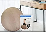 Silla de Bola Pilates y Yoga para Oficina Riva Office Zen Ball 65 cm Marrón