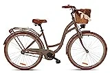 Goetze Bicicleta de ciudad retro vintage holandesa para mujer, ruedas de aluminio de 28 pulgadas, 1 marcha, freno de contrapedal, entrada profunda, cesta con acolchado gratis.