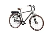 F.lli Schiano E- Moon Trek Series Bicicleta eléctrica, Men's, Gris, 28''