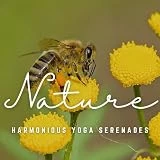 Mindful Yoga Dreamscapes