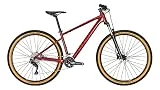 Focus Whistler 3.7 Mountain Bike 2022 (29