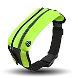 Riñonera Running, Riñonera Deportiva para Hombre y Mujer, Cinturón para Correr Ajustable, con Orificio para Auriculares y Bandas Reflectantes, para Correr, Viaje, Fitness (Verde)