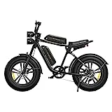 ENGWE M20 Bicicleta Electrica Hombre | 20'×4.0 Fat Tire Bici Eléctrica | Autonomía de 75 KM+75 KM con Doble 48V 26Ah Batería | 7 Velocità | E-MTB Adultos Urbana ebike (Negro)