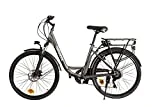 Nilox J5 Plus, Bicicleta Eléctrica Unisex Adulto, Gris, 26
