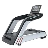 Treadmill Large Silent Fitness Exercise Equipment Gym Electric Treadmill