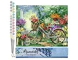 Figured'Art Pintar por Numeros Adultos Flores Y Bicicletas - Manualidades pintura acrilica Kit Cuadro DIY completo - 40x50cm sin bastidor