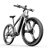 cysum Bicicleta eléctrica de 29 Pulgadas, M520 Mountain Ebike 48V 14Ah Batería de Litio, Shimano 7 velocidades (Gris)