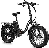 KETELES Bicicleta Eléctrica Plegable, Batería De Lones De Litio De 48V 18Ah con Neumático Gordo 20'* 4', Bicicletas Eléctricas De Montaña Adulto De Ciudad De Largo Alcance (KF9 Hydraulic Brake)
