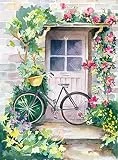 NANASUGUR Pintar por Numeros Adultos Niños Pintura por Numeros con Pinceles Lienzo y Pinturas Acrilicas, DIY Kit Completo de Pinturas para el Hogar (40 * 50cm, Sin Marco)-Courtyard