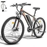 Fafrees Bicicleta Eléctrica, 26 Pulgadas Bicicleta Eléctrica Montaña para Hombre, 36V/13Ah Batería E-Bike, 250W Bicicleta Eléctrica Urbana para Mujer, 26 Hailong One, Negro