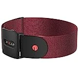 POLAR : Verity Sense : Rojo oscuro: M-XXL